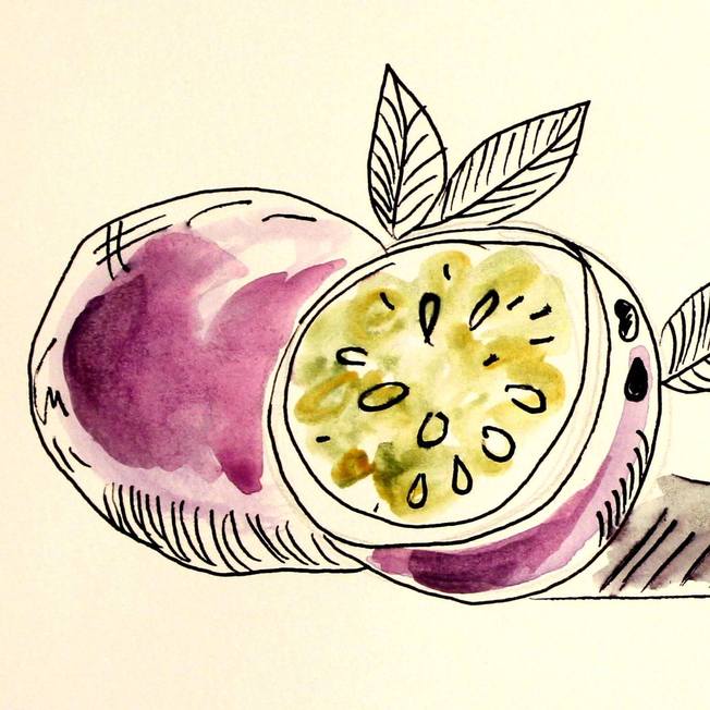 Illustration with pomegranate